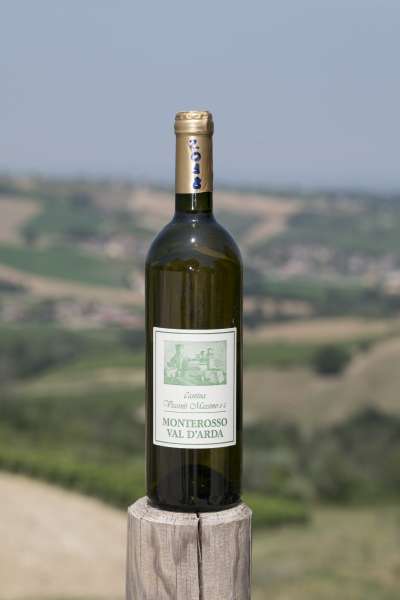 Cantina Visconti - ortrugo -vini