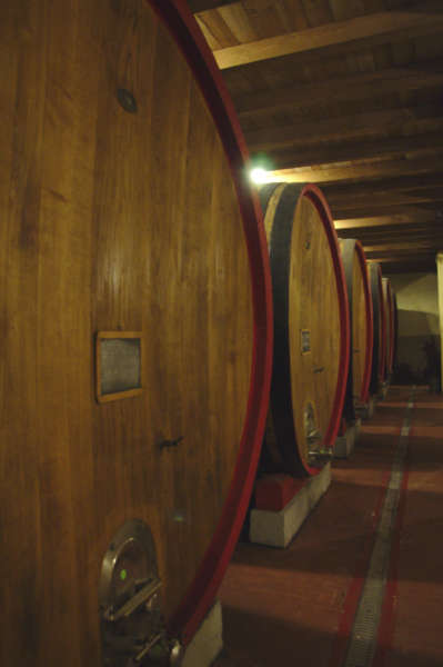 Botti cantina Vicobarone