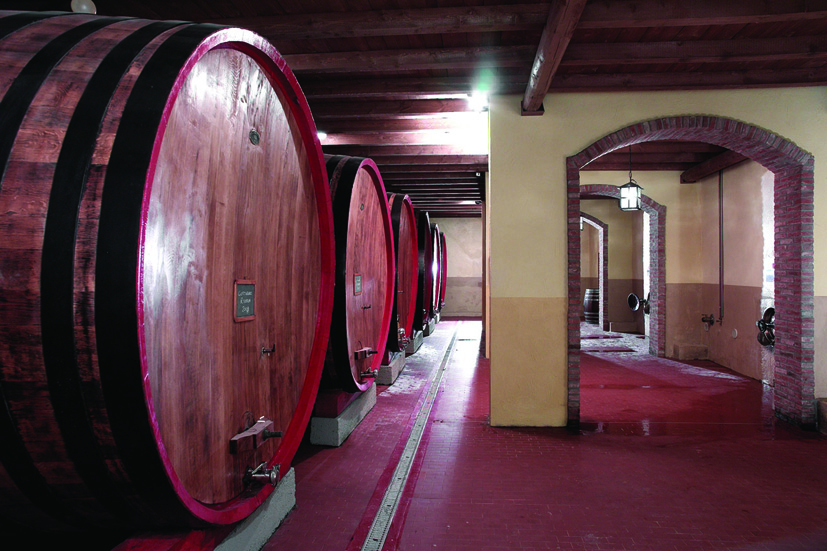 Botti cantina Vicobarone