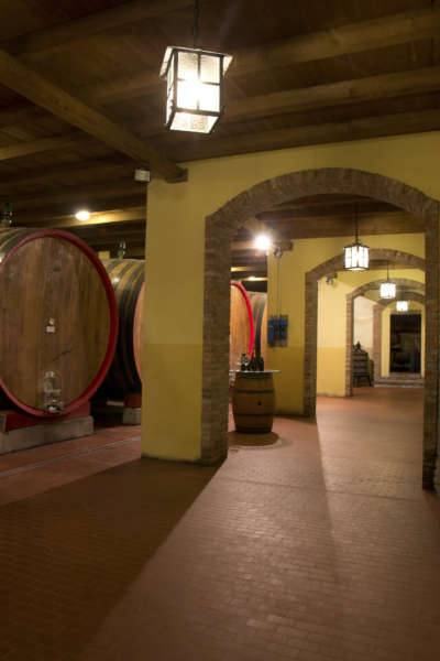 Interno cantina Vicobarone