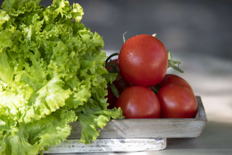 Pomodoro piacentino con insalata