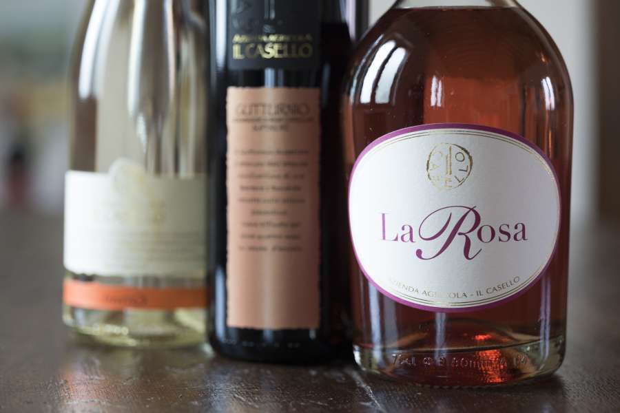 Azienda_Agricola_Il_Casello - vini - rosè