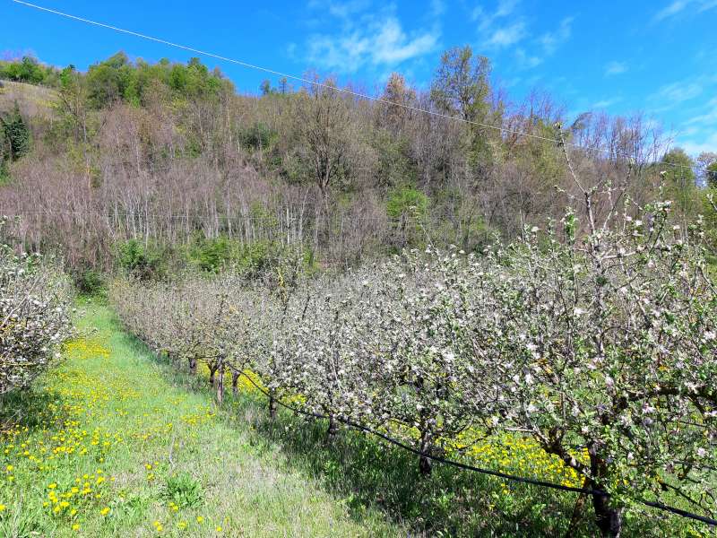 Azienda Agricola Biofilia