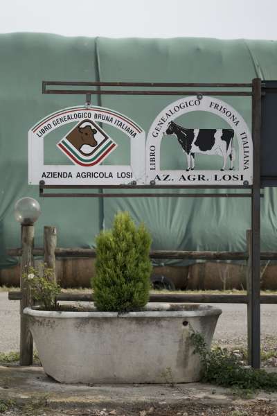 Azienda agricola Graffignana