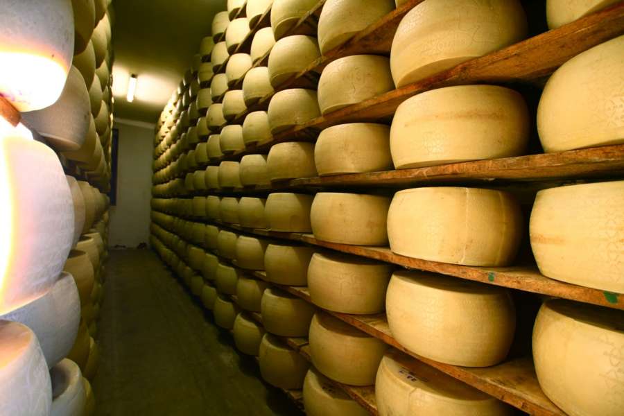 Caseificio Borgonovo - Produzione Grana Padano DOP